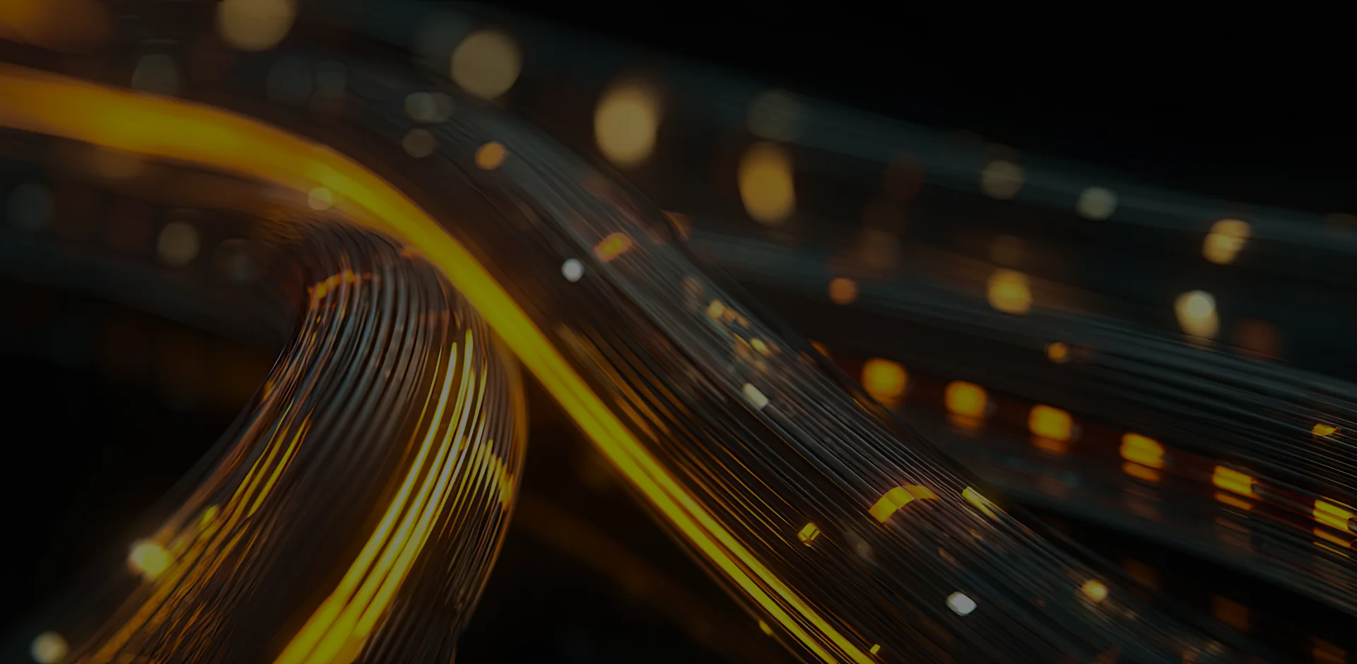 메인배너1